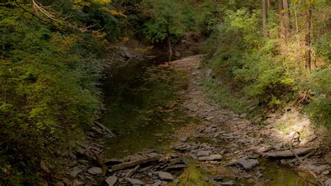 Sharon Woods Trails - Great Parks of Hamilton County