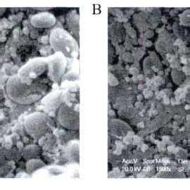 Model of starch gelatinization and retrogradation [28]. | Download ...