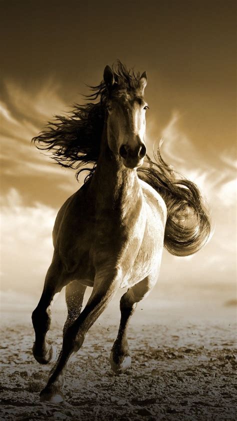 Running, horse, animal, 720x1280 wallpaper | Horse wallpaper, Beautiful ...