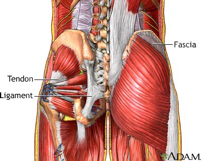 Muscle aches Information | Mount Sinai - New York