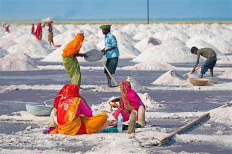 Salt Collecting In Salt Farm, India Editorial Image - Image: 28490205