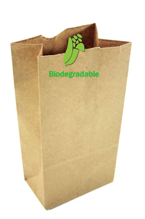 Biodegradable Paper Bags in Ayanavaram, Chennai - Exporter, Manufacturer and Distributor