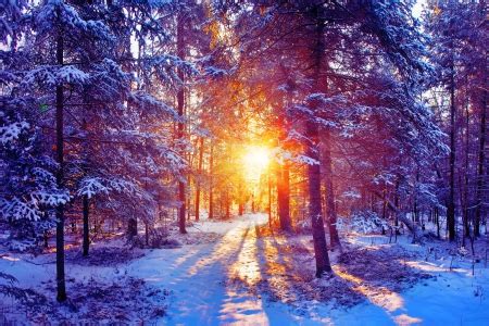 Beautiful View - Winter & Nature Background Wallpapers on Desktop Nexus ...