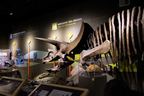 6 Exhibits For Family Fun at the Buffalo Museum of Science