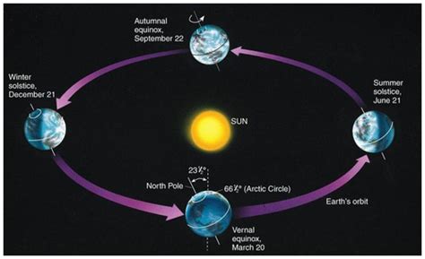 6th grade Science EOC Flashcards | Quizlet