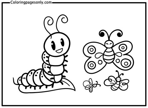 Caterpillar To Butterfly Coloring Page