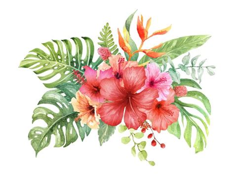 Watercolor Hibiscus bouquet Elements. 669971 Vector Art at Vecteezy