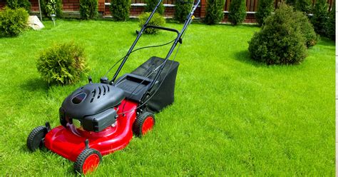 Lawn Mower Guide - This guide will tell you, everything you need to know