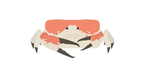 [ANIMAL] tasmanian giant crab : r/deeeepioartworks