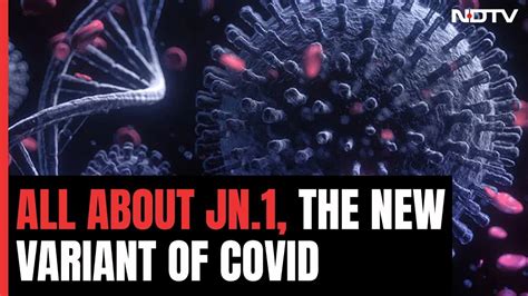 All you need to know about JN1 variant of covid 19 and how to prevent it - YouTube