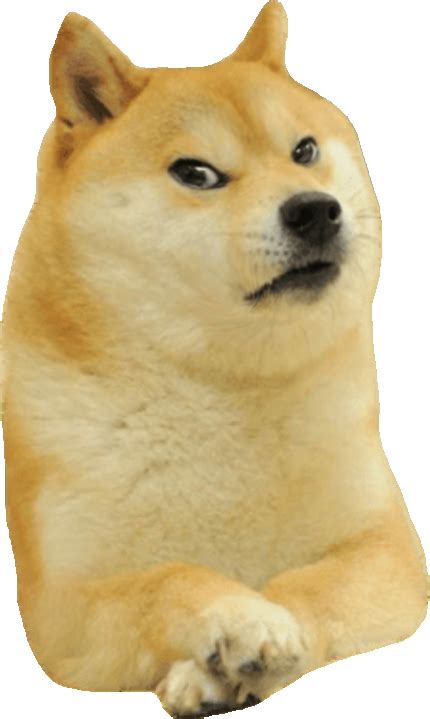 "Doge" Meme Templates - Imgflip