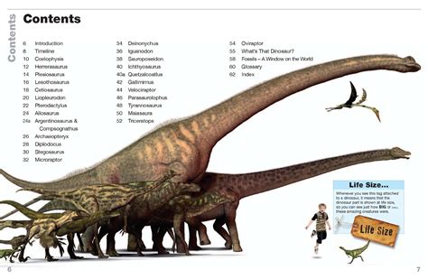 How Big Is Your Favorite Dinosaur? Find Out Here « paleoaerie