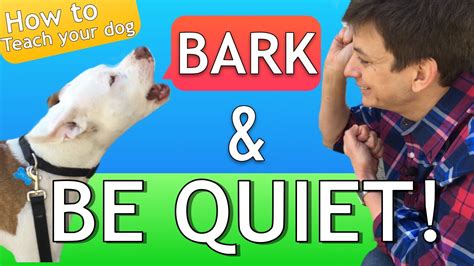 How to Teach your Dog to Bark and STOP BARKING! - Dogs Experts