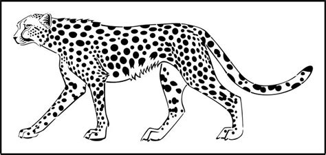 Cheetah drawing, Animal coloring pages, Coloring pages