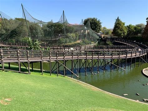 Montecasino bird park - Review of Monte casino bird park, Sandton, South Africa - Tripadvisor