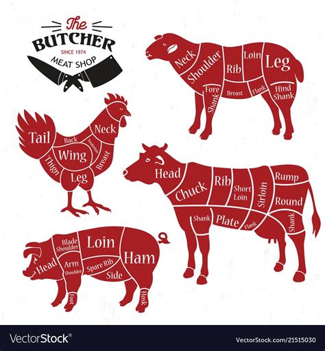 Meat cuts. Diagrams for butcher shop. Vector illustration. Download a ...