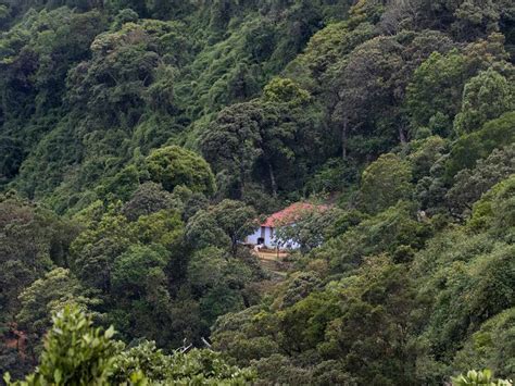 Megamalai Wildlife Sanctuary - Roaming Owls