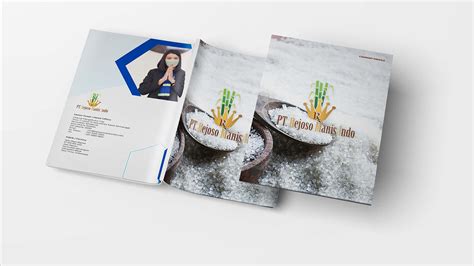 Company Profile | PG. RMI MITR PHOL | 2022 on Behance