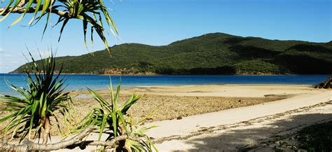 Airlie Beach Tours Price Departure Locations Time and Days Booking Guide