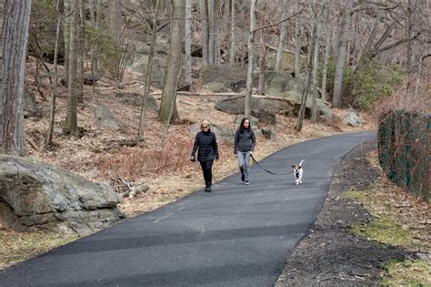 Stony Point, N.Y.: An Escape From the ‘Chaos’ of the City - The New ...