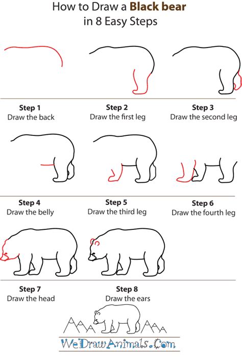 Polar Bear Drawing Step By Step at PaintingValley.com | Explore ...