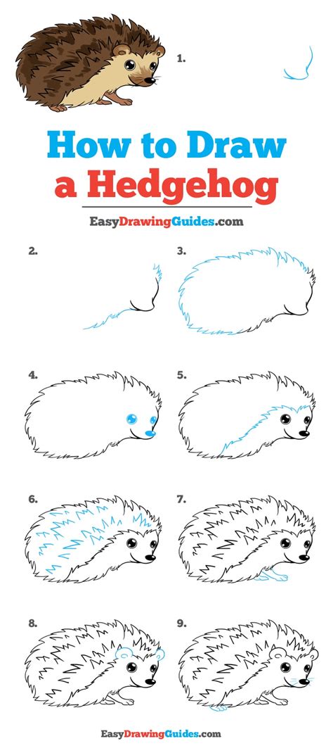 How to Draw a Hedgehog - Really Easy Drawing Tutorial | Drawing tutorial easy, Drawing tutorials ...