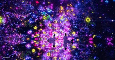 teamLab Planets TOKYO DMM Ticket - Klook