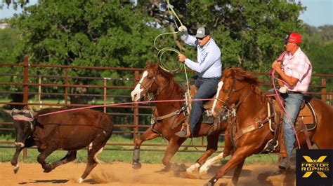 Steer & Calf Roping Dummy Guide | X Factor Team Roping