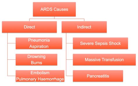 Acute Respiratory Distress Syndrome (ARDS) – EmergencyPedia