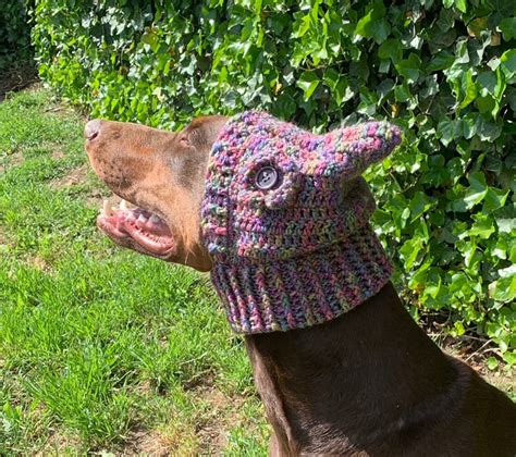 Crochet Pattern Dog Snood | Etsy