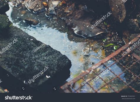 Water Pollution Sewage Sludge Stock Photo 753953761 | Shutterstock