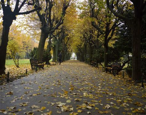 Parks in Bucharest: Get the Detail of Parks in Bucharest on Times of India Travel