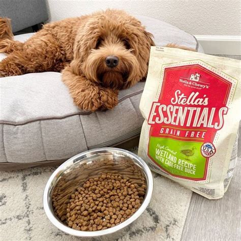 Stella & Chewy's Essentials Duck & Lentils 25 lb.