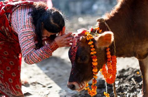 Nepal and India; A Spiritual Bind - Zigya