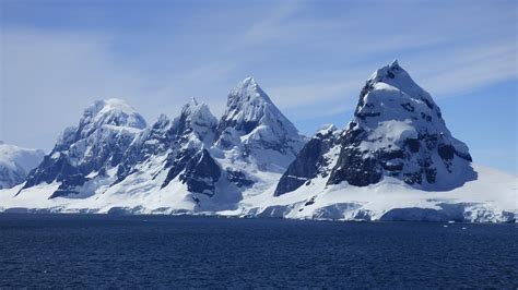 What is an Antarctic Habitat? - Answered - Twinkl Teaching Wiki