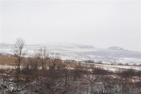 Premium Photo | Snow and winter landscape and view in georgia