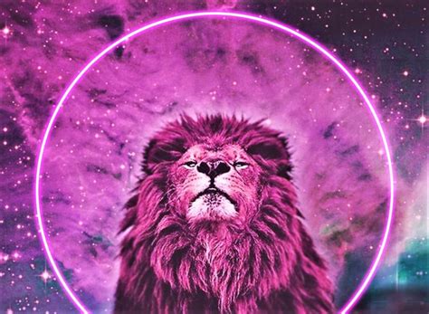 pink_lion_2___high_resolution_by_resresres-d7gnbgo-e1533900291255 | lapis