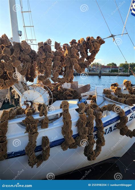 Tarpon Springs, Sponge Docks Editorial Stock Image - Image of florida ...