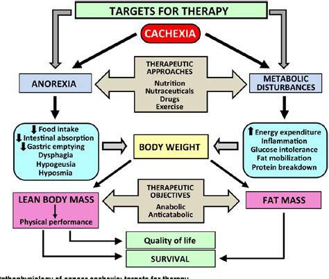 Cachexia Anorexia