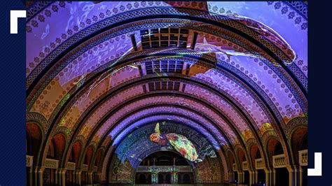 A first look inside the new St. Louis Aquarium at Union Station | ksdk.com