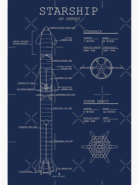 SpaceX Starship / Superheavy Blueprint Premium Matte Vertical Poster ...