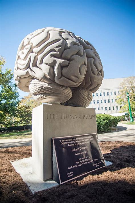 Brain Sculpture – Bloomington, Indiana - Atlas Obscura
