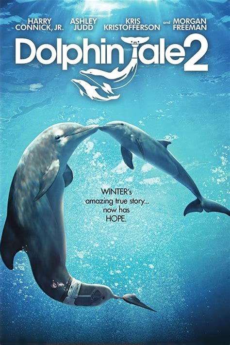 Dolphin Tale 2 (2014) - Posters — The Movie Database (TMDB)