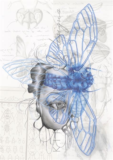 Metamorphosis Artwork by Kirsty McKerracher