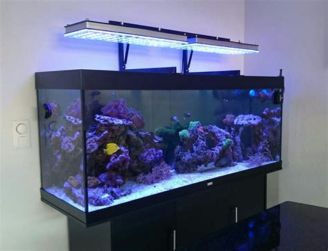 Atlantik Series Choosing Proper LED Aquarium Lighting •Aquarium LED Lighting•Orphek