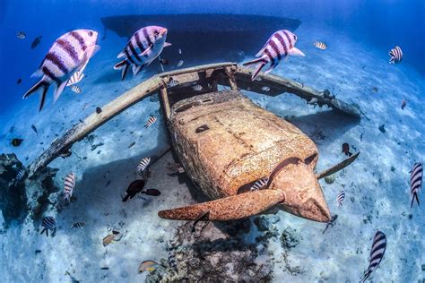 Scuba Diving in Tahiti - TOPDIVE