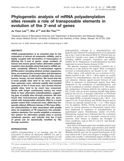 (PDF) Phylogenetic analysis of mRNA polyadenylation sites reveals a role of transposable ...