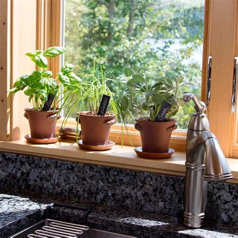 10 Charming Indoor Herb Garden Planters | Family Handyman