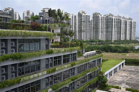 Malaysia targets expats in Singapore as Chinese-built Forest City homes ‘sit empty’ | South ...