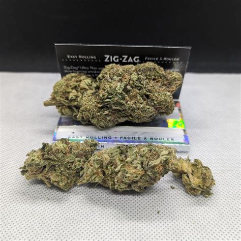 Buy Cement Shoes Strain - Indica Hybrid Bud • Fraser Bud